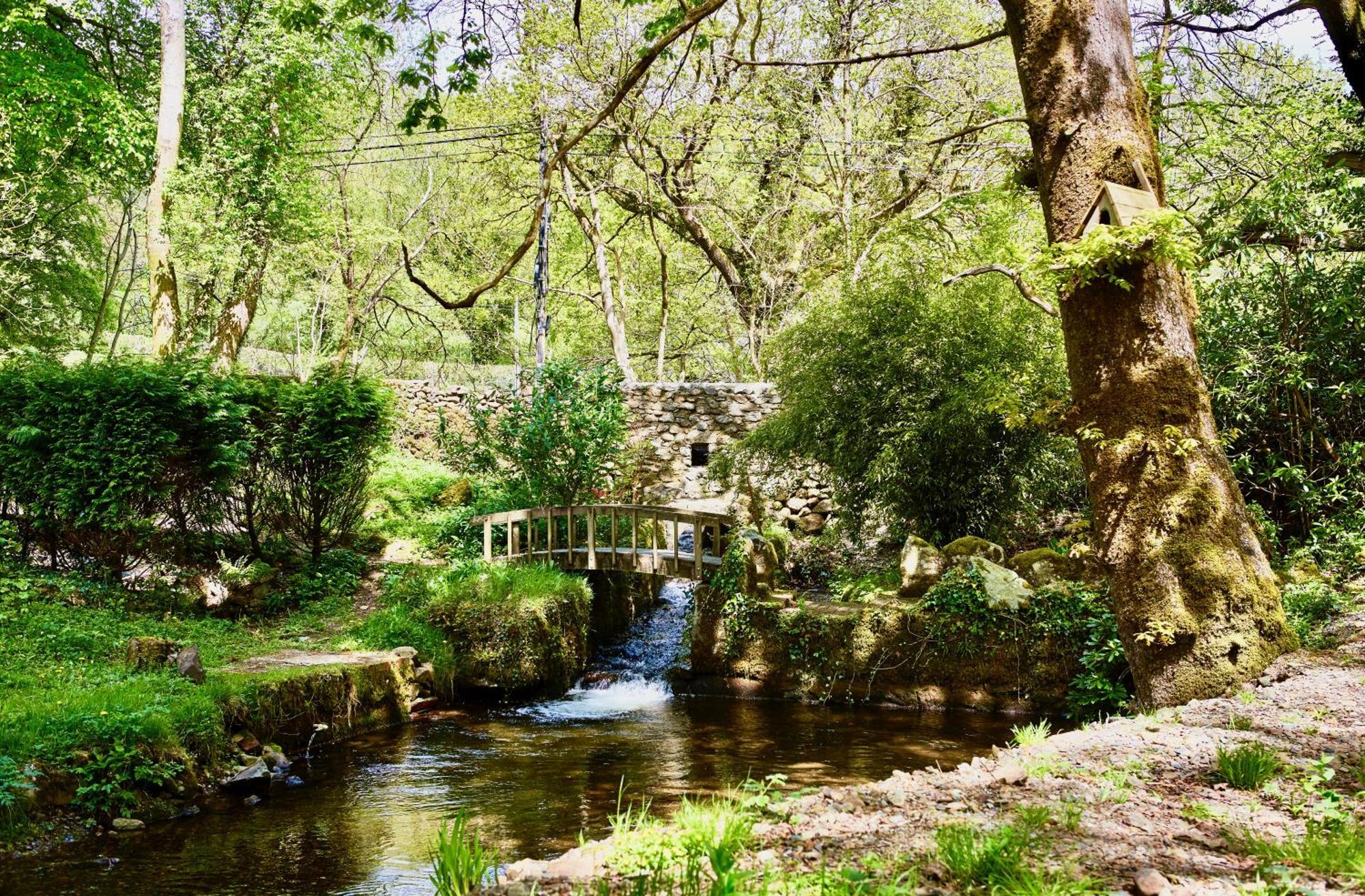 Afon Rhaiadr Country House Dolgellau Exteriör bild